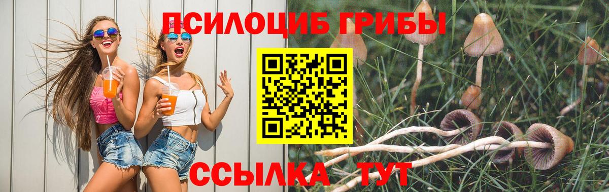 Галлюциногенные грибы Cubensis Новочебоксарск
