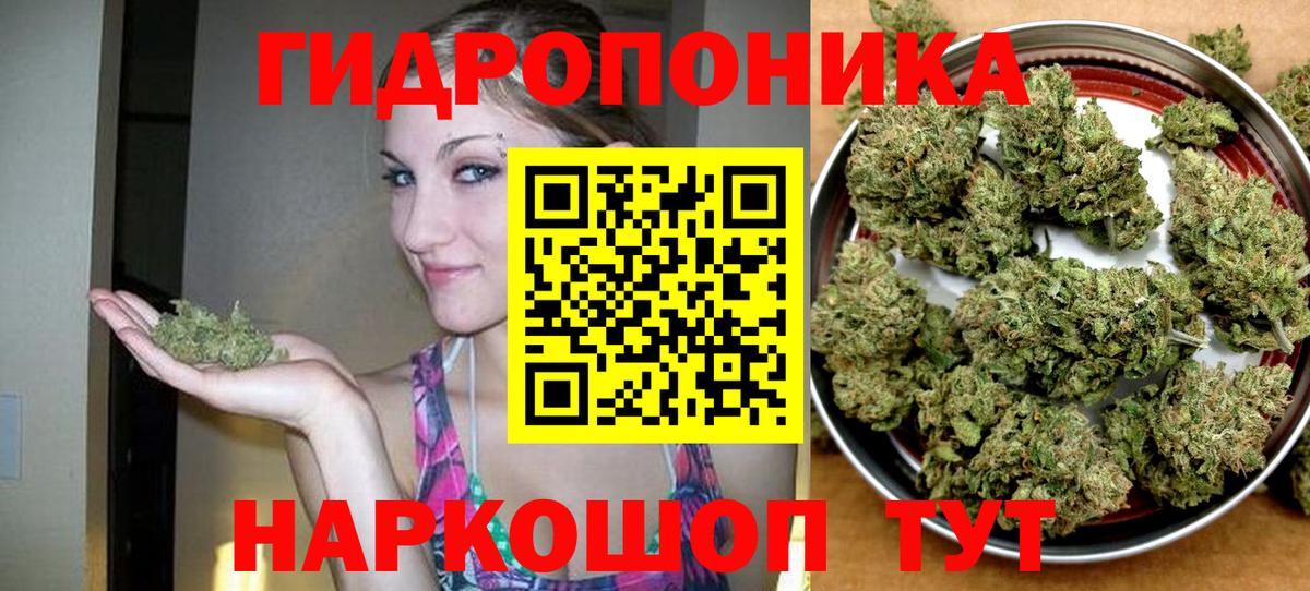 Каннабис THC 21%  Вход с VPN  Новочебоксарск  Каннабис White Widow  Бошки марихуана LSD WEED 
